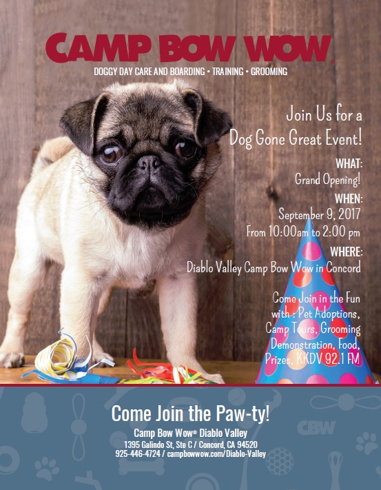 Camp Bow Wow Diablo Valley Adoptapalooza Concord