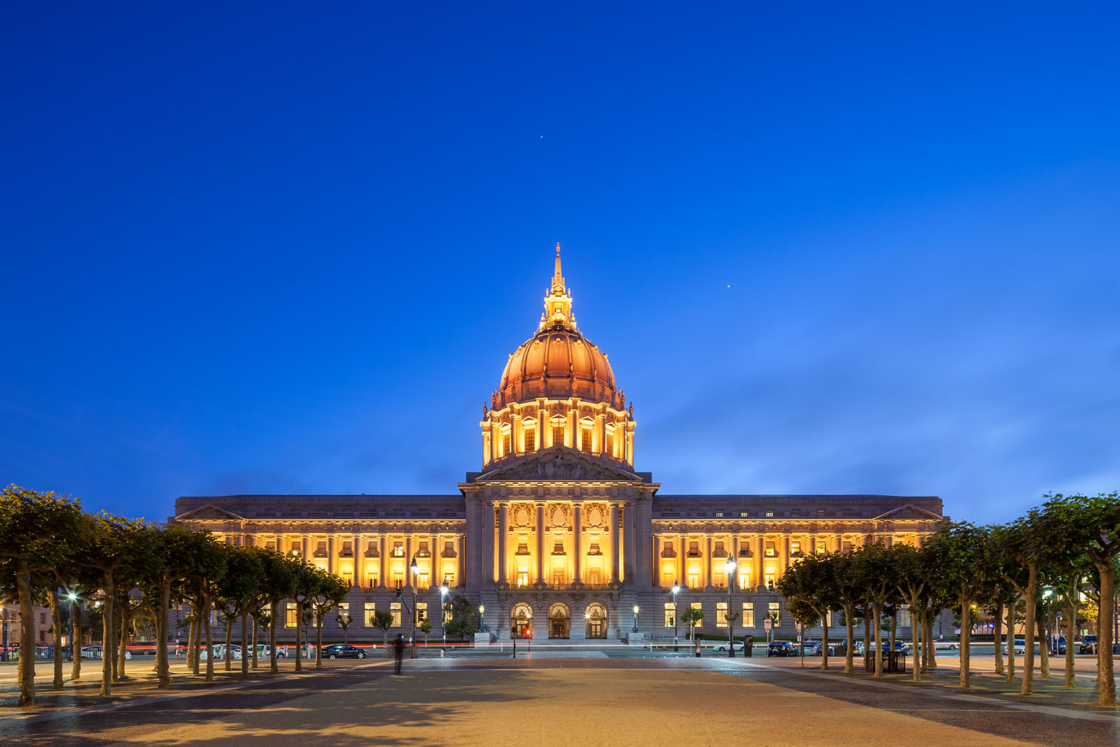 SF City Hall Lights Up for Thanksgiving
