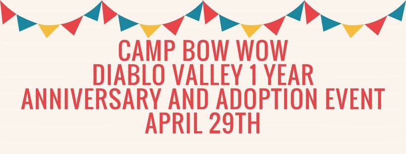 Camp Bow Wow Diablo Valley Anniversary Raffles, Discounts & Treats