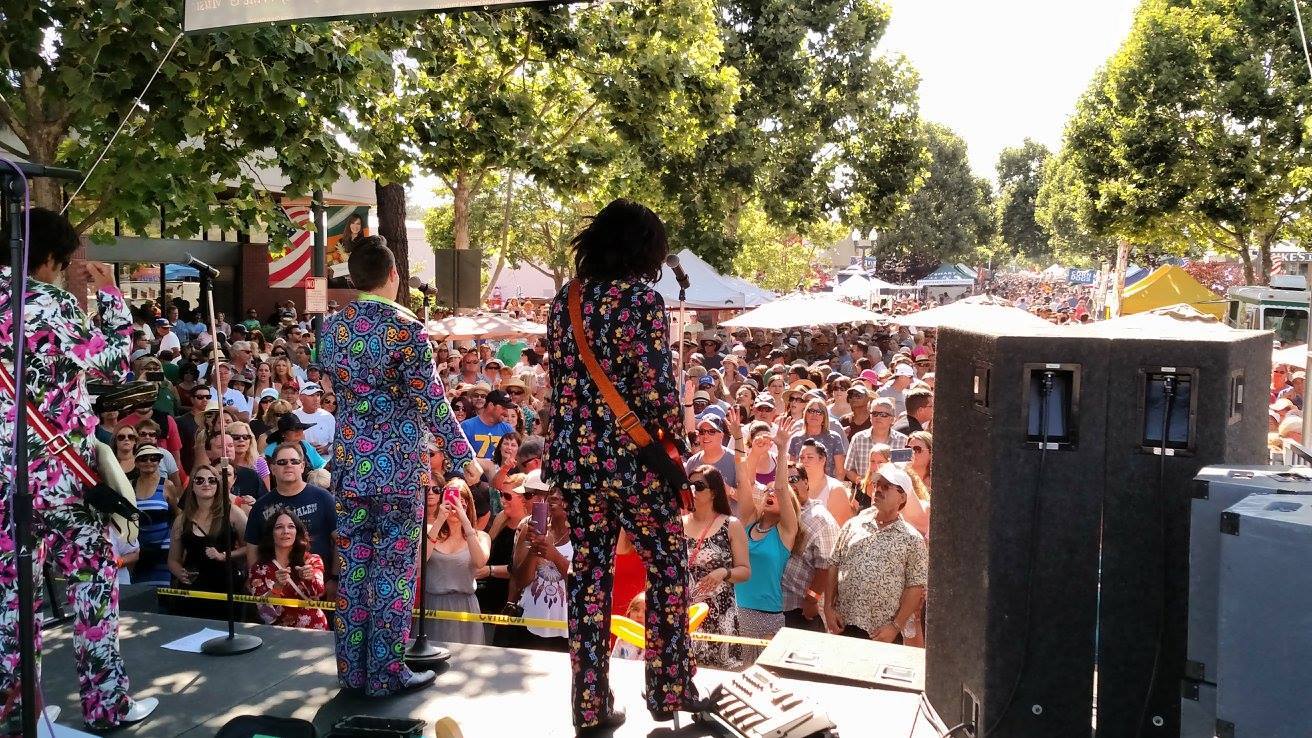 2019 Art, Wine & Music Festival Novato