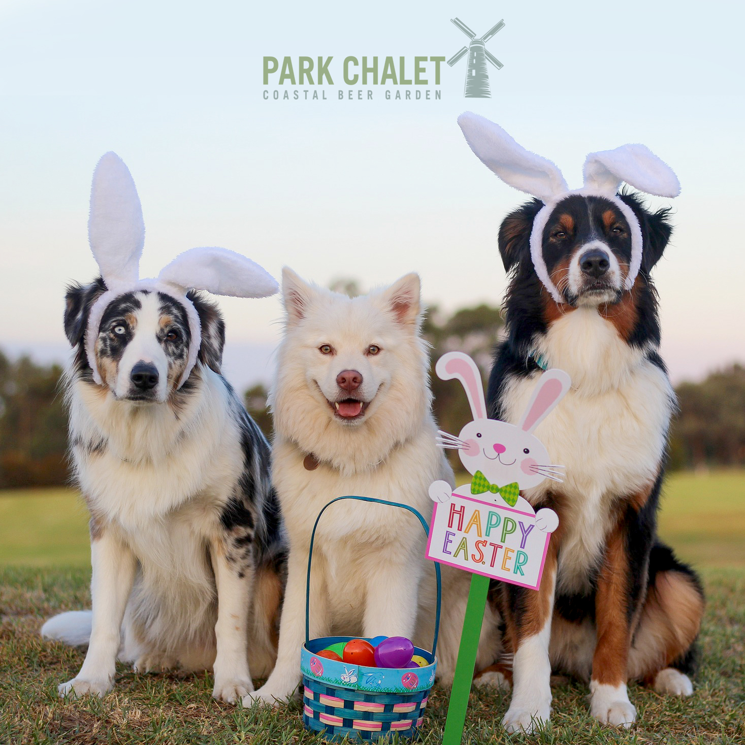 Easter Egg Hunt at Park Chalet in GG Park & Ocean Beach (SF)