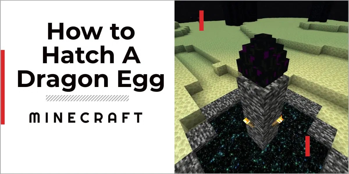 How To Hatch A Dragon Egg In Minecraft 2023 Guide] GameGrinds