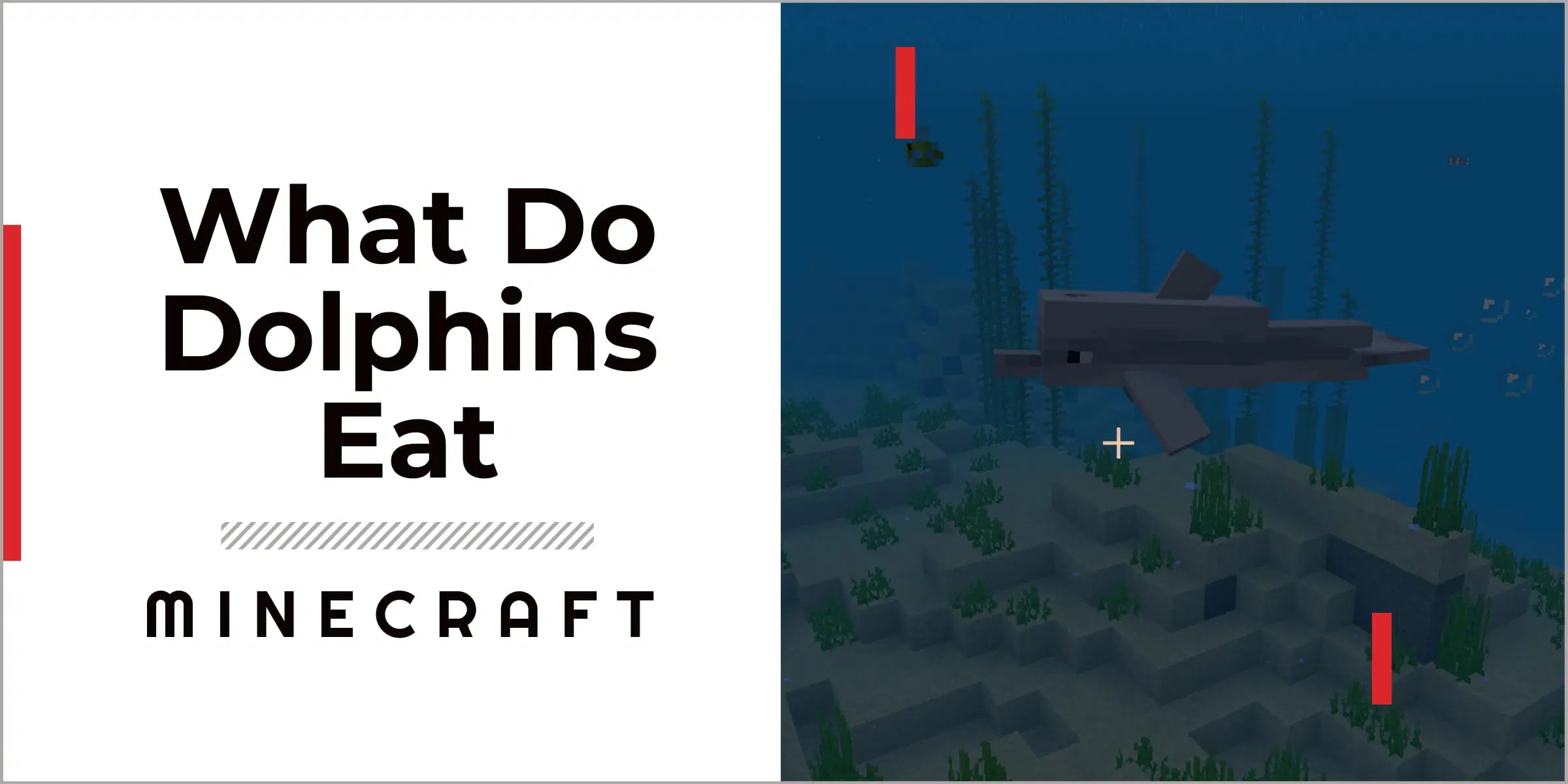 What Do Dolphins Eat In Minecraft? GameGrinds