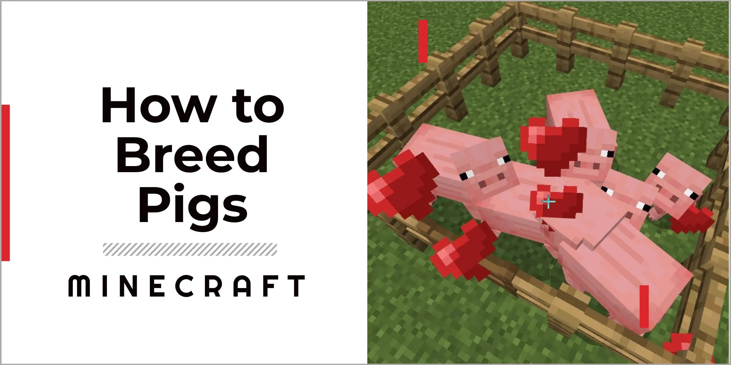 How To Breed Pigs In Minecraft Guide] GameGrinds