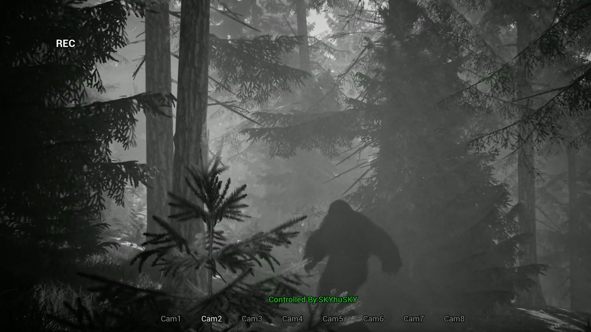 Finding Bigfoot Review GameQik