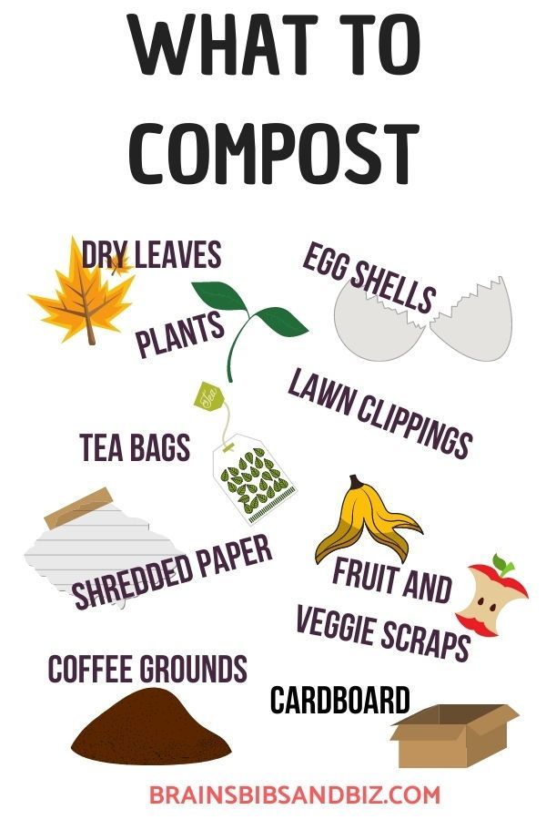 How To Quickly Compost Cantaloupe GardeningLeave