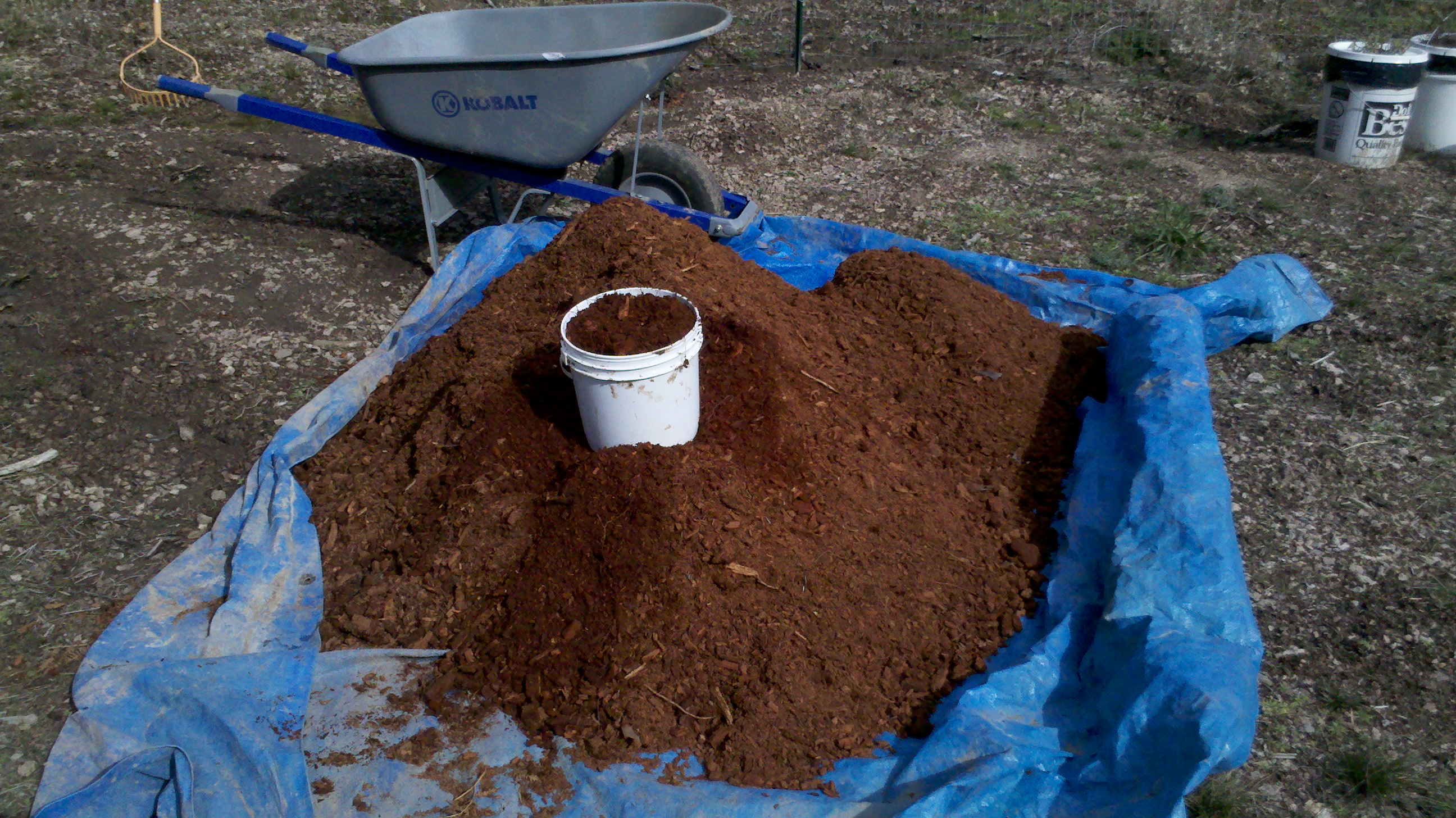 Will Potting Soil Destroy Wood GardeningLeave