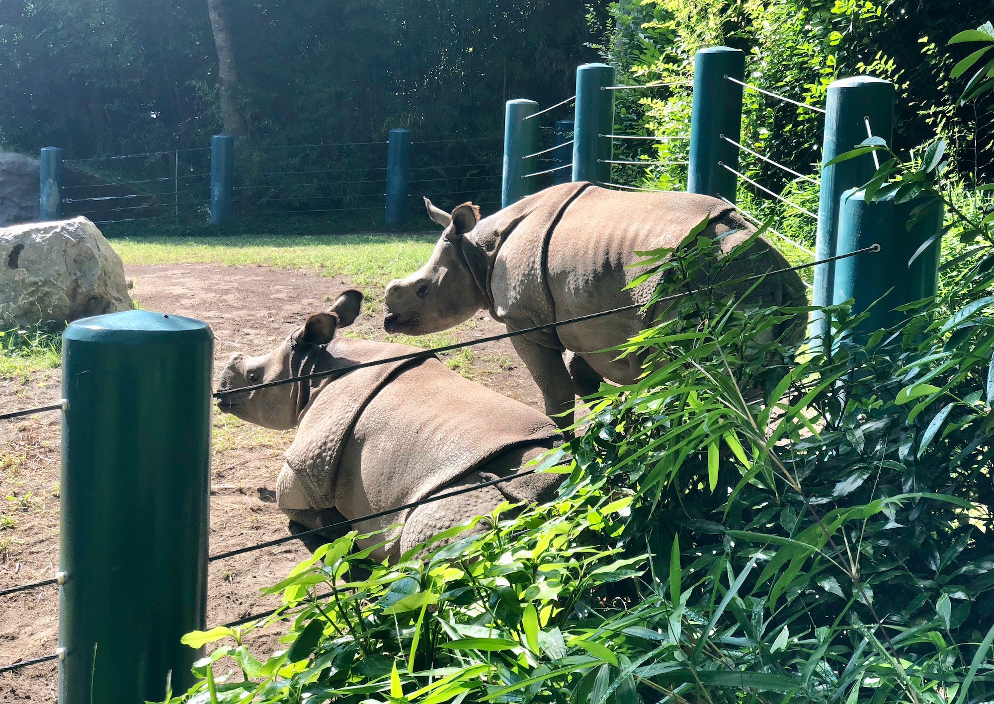 Seattle zoo turns to virtual reality and beacon technology to give