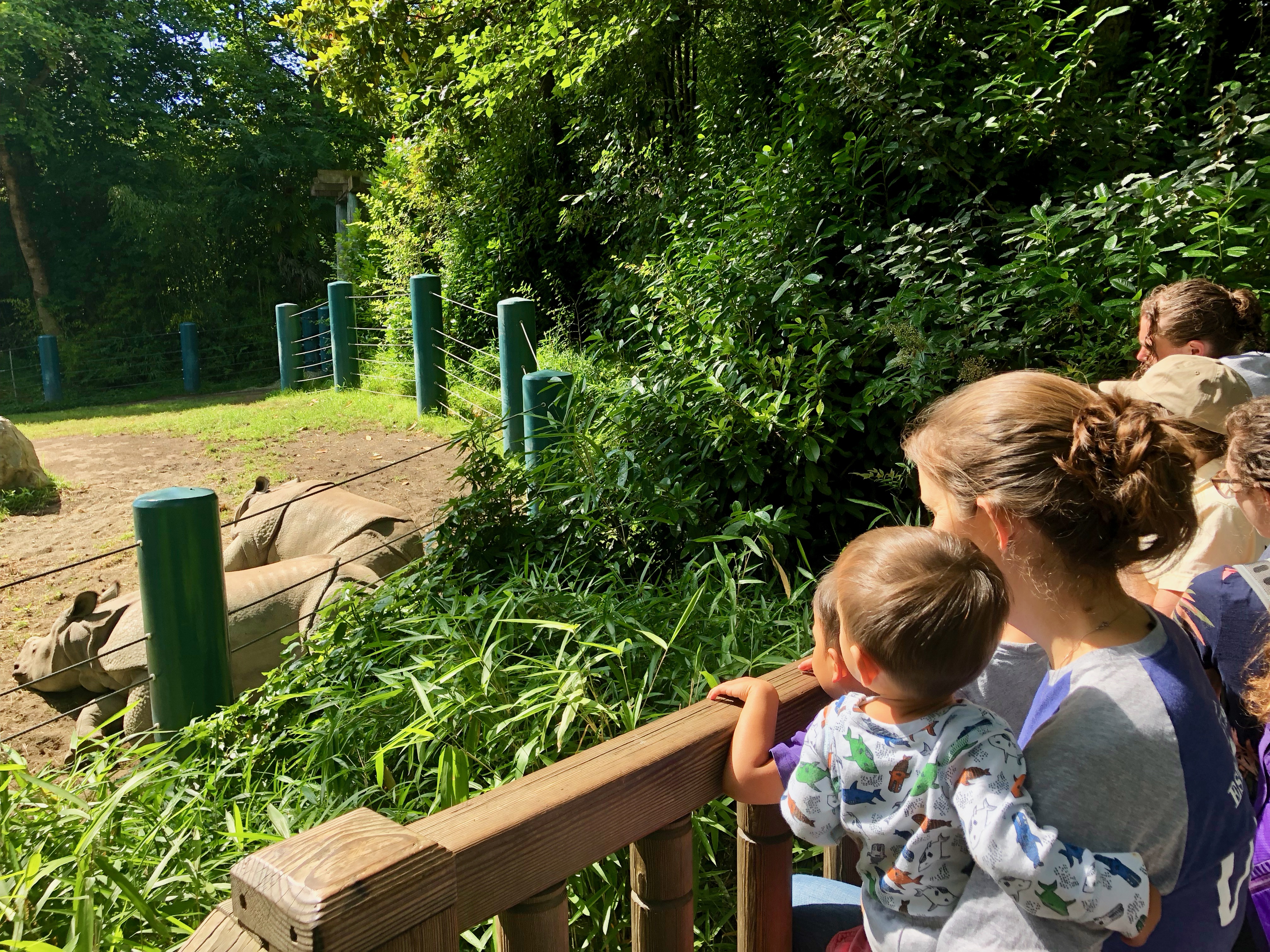 Seattle zoo turns to virtual reality and beacon technology to give