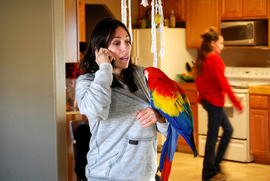 Could parrots live in Amazon's Spheres? Heidi Fleiss, the ex 'Hollywood