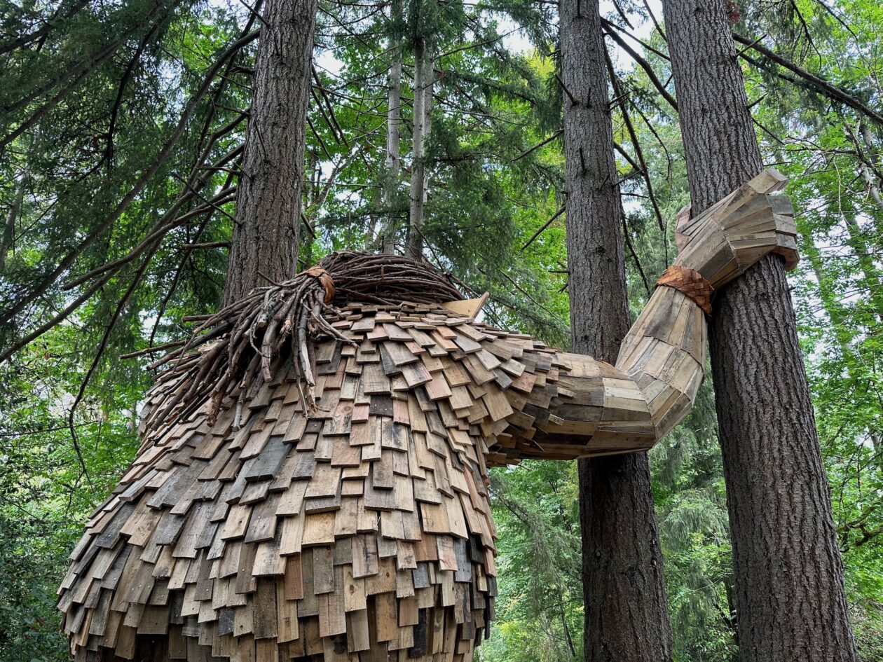 Artist's giant troll sculptures bring whimsy to Seattlearea woods
