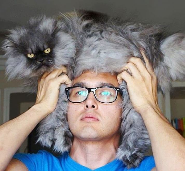 Foto Ho un gatto per cappello Radio Deejay