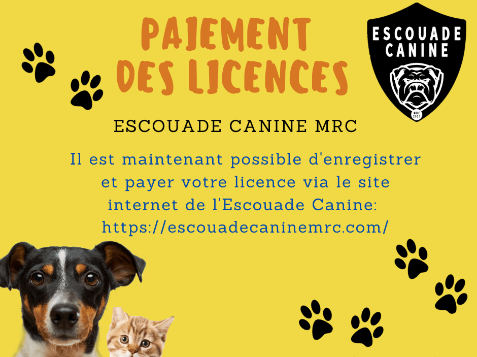 Accueil Municipalité de SainteCéciledeWhitton