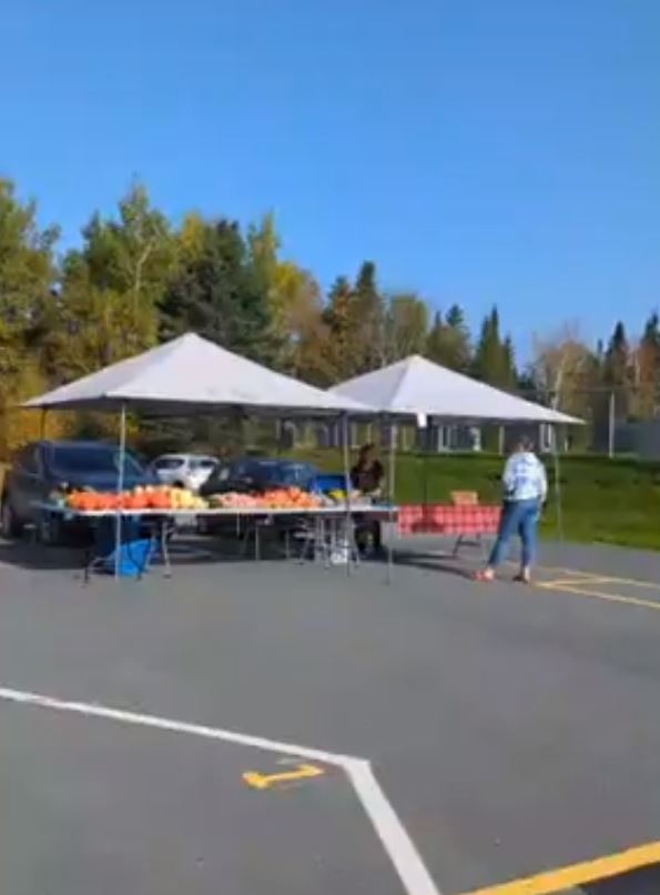 Marché fermier Municipalité de SainteRosedeWatford