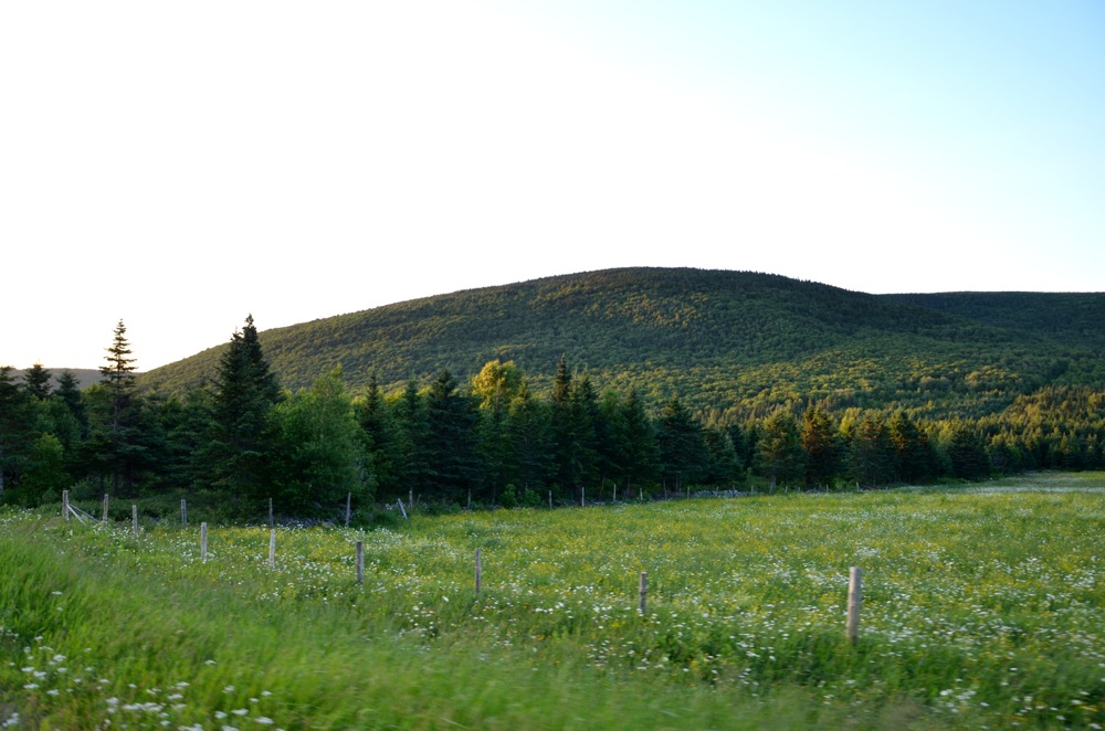 Comité de développement économique Municipalité de SaintPhilémon