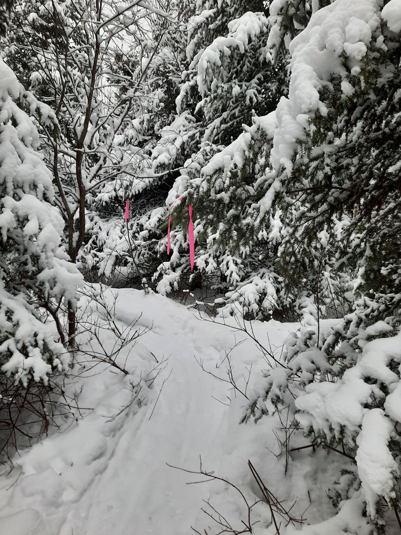 Équipements Loisir Municipalité de SaintCyprien