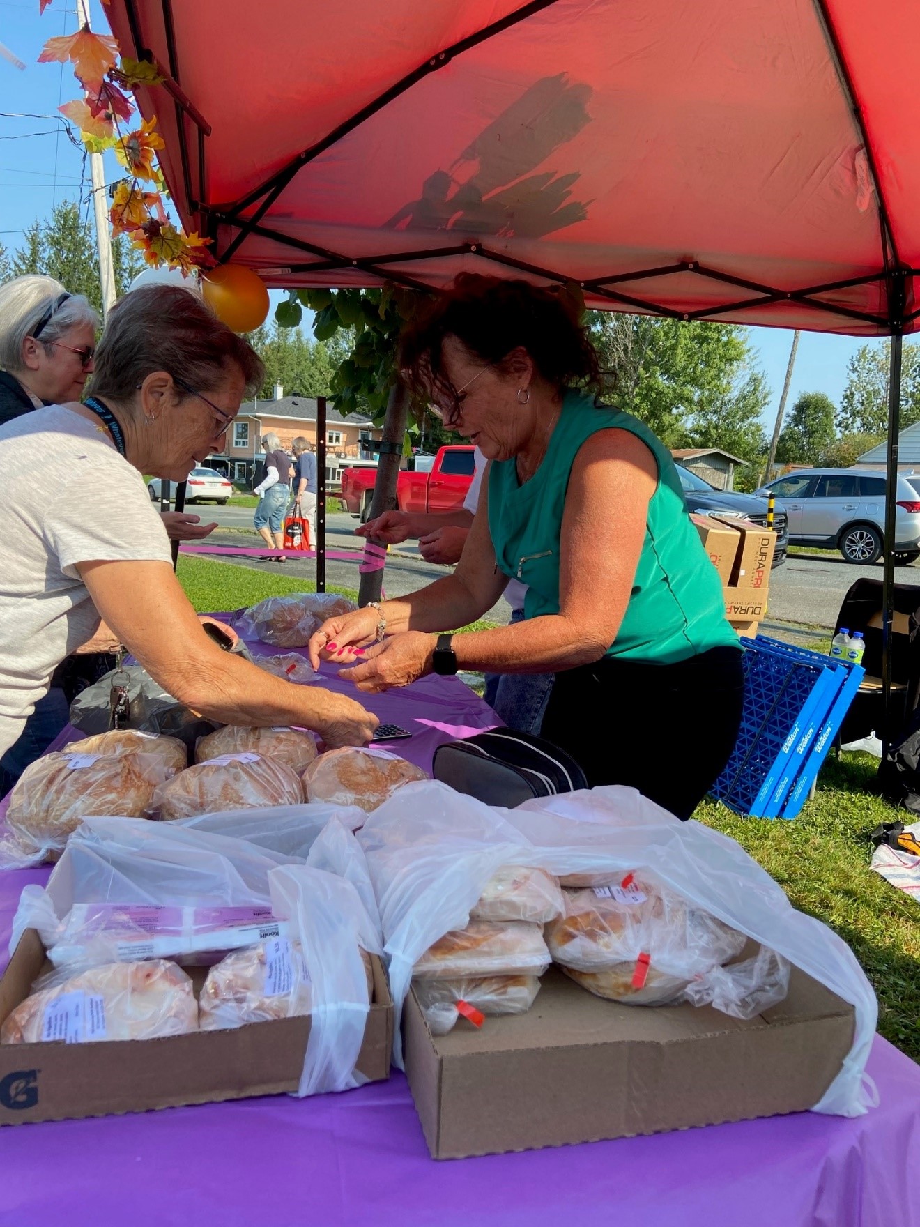 Fête des récoltes Municipalité de SaintCamilledeLellis