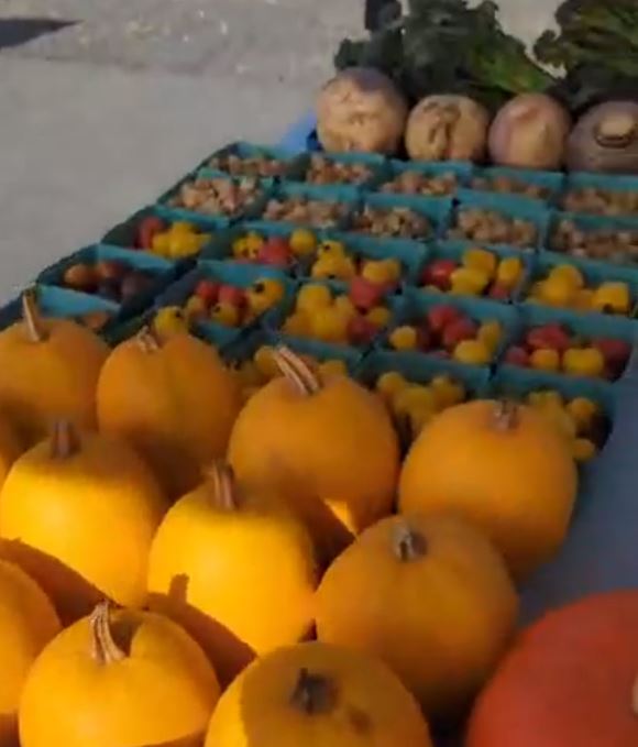 Marché fermier Municipalité de SainteRosedeWatford