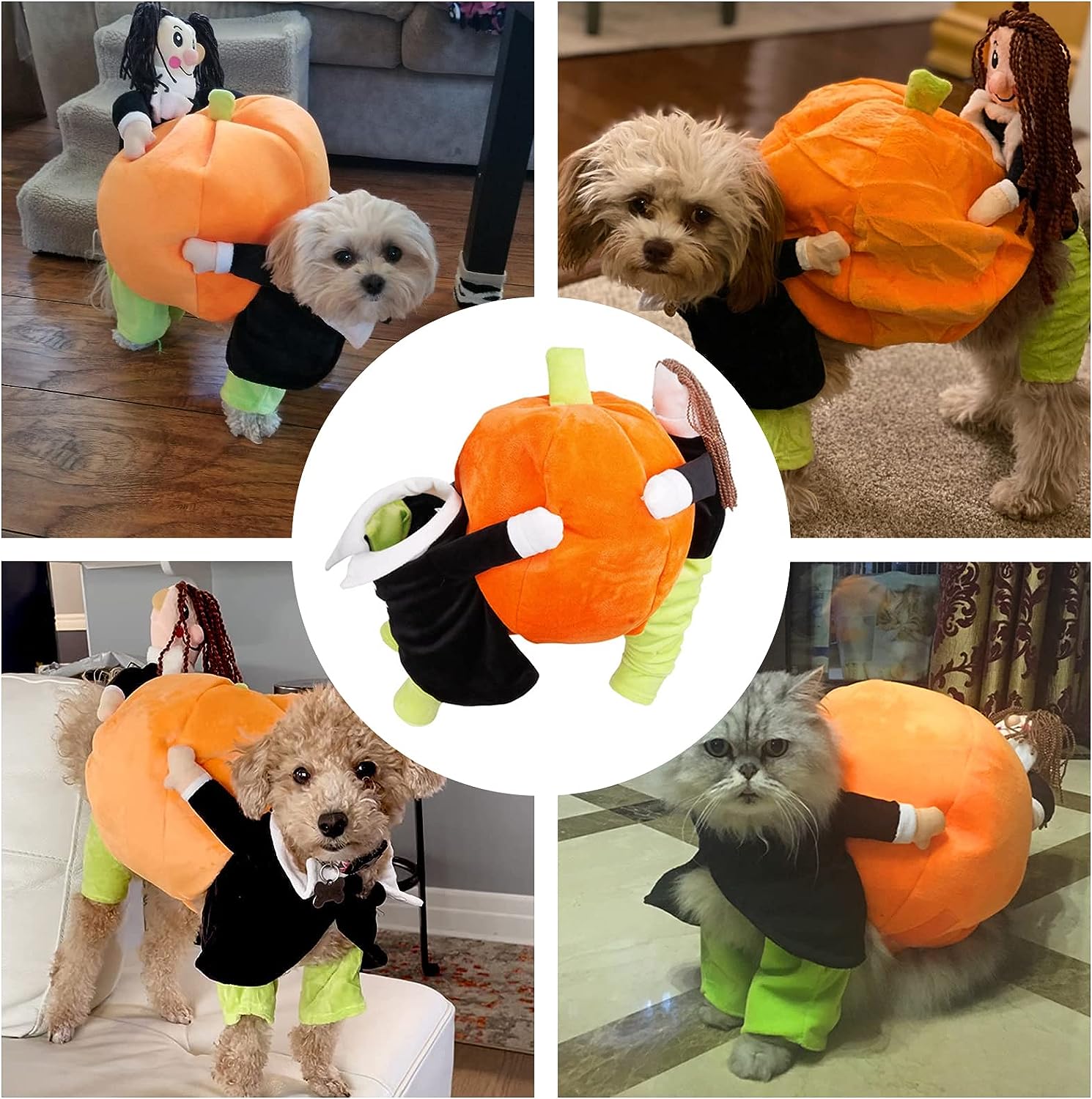 🎃Dog & Cat Pumpkin Halloween Costume🎃 acceleriate