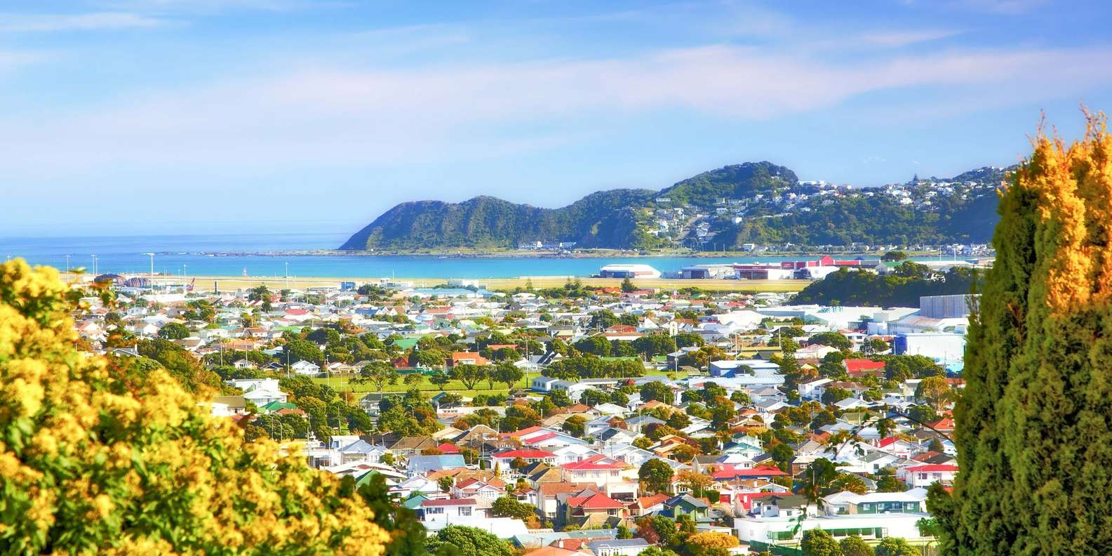 The BEST Wellington Tours and Things to Do in 2024 FREE Cancellation