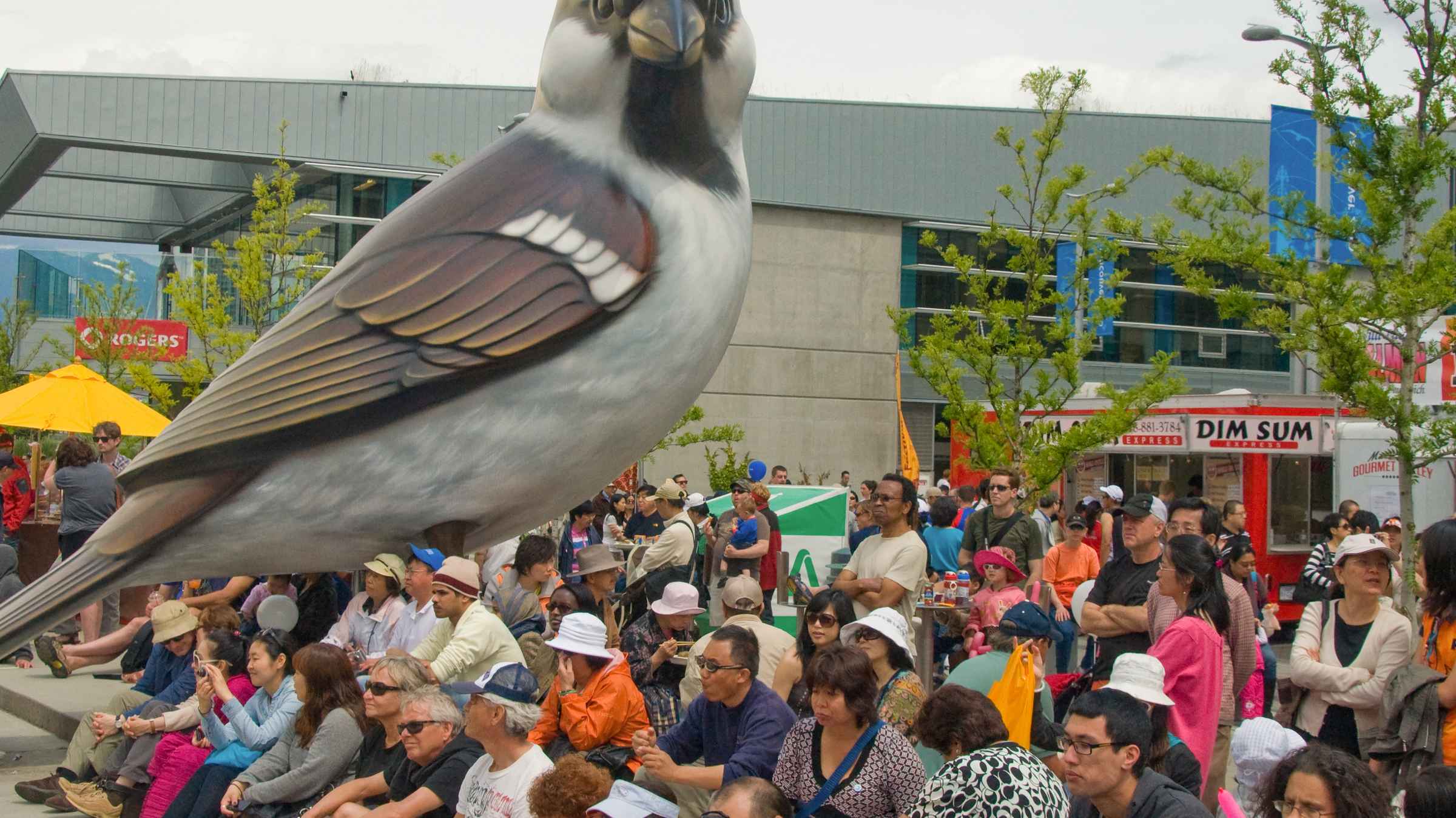 The Birds, Vancouver, Vancouver Book Tickets & Tours