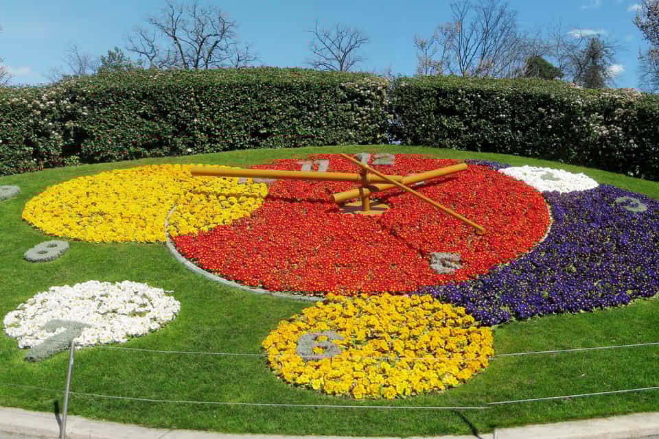 Edinburgh Flower Clock Best Flower Site