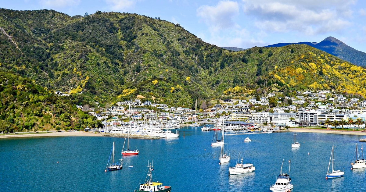 Picton 2021 Top 10 Tours & Activities (with Photos) Things to Do in