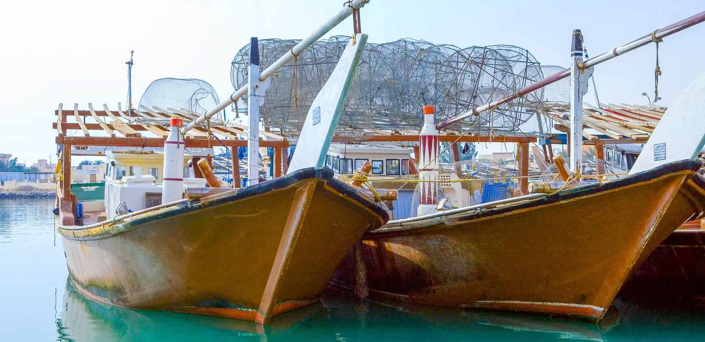 The BEST Al Khor Summer activities 2023 FREE Cancellation GetYourGuide