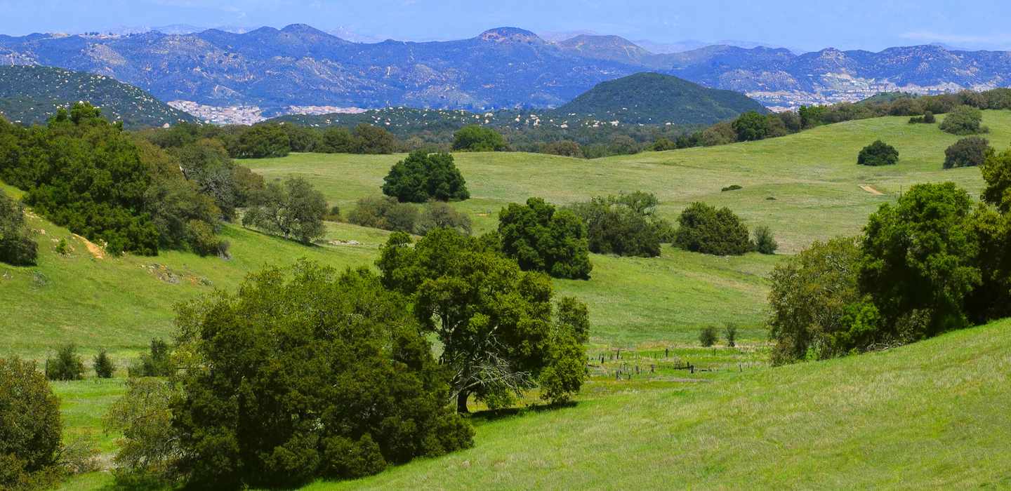 The BEST Santa Rosa Bachelor(ette) parties 2024 FREE Cancellation