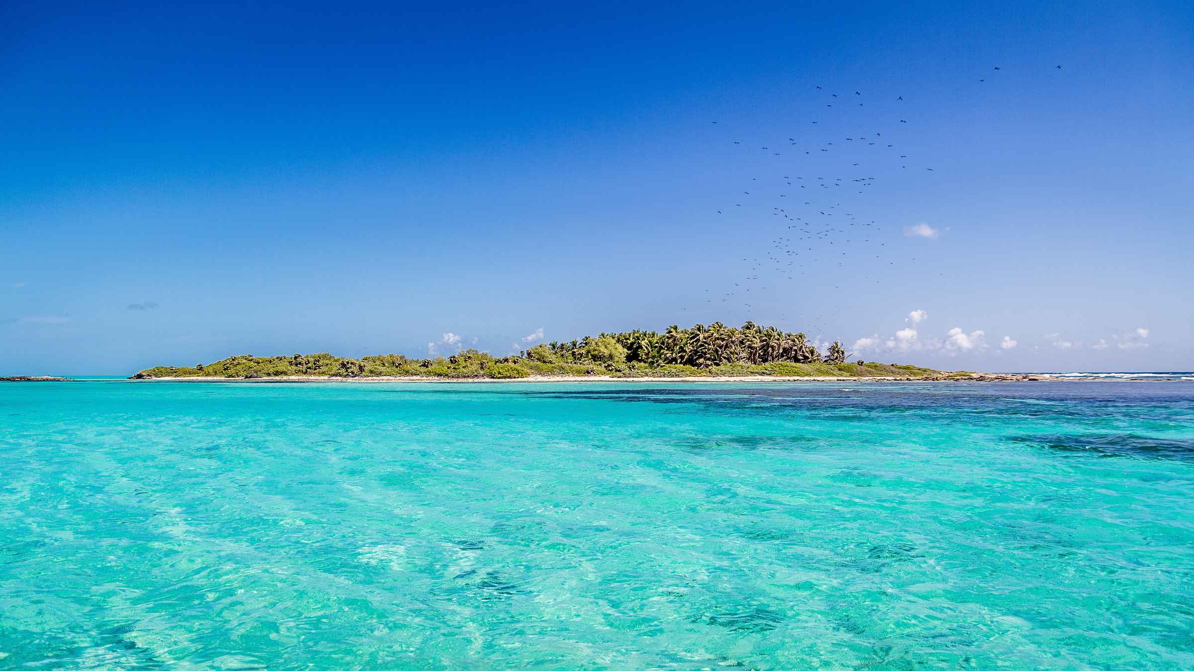 Contoy Island, Isla Mujeres Book Tickets & Tours