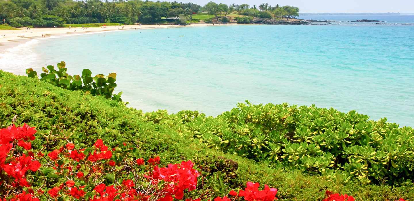 The BEST Waikoloa Village Selfguided activities 2023 FREE