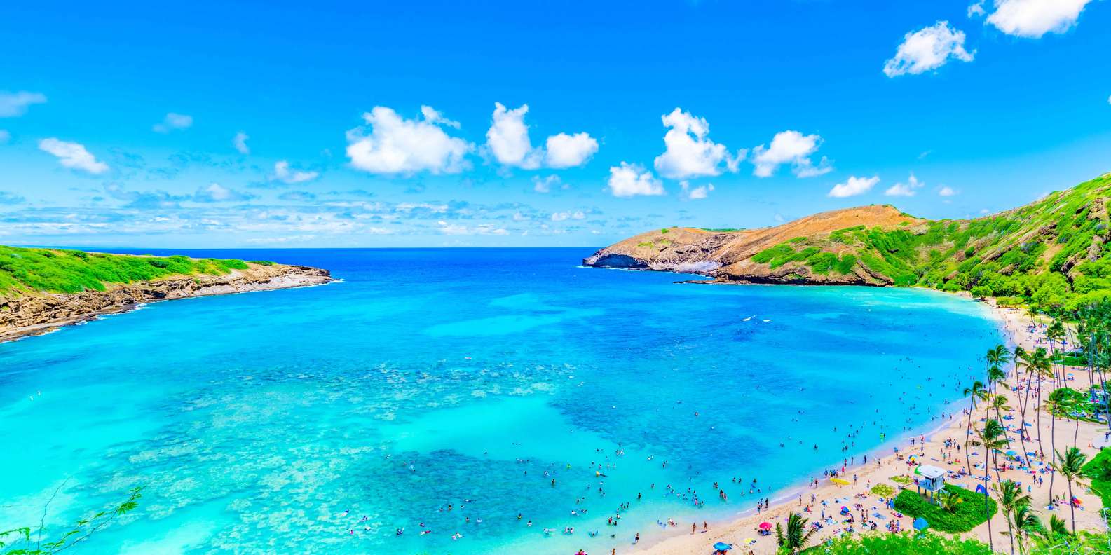 Hanauma Bay, Honolulu Book Tickets & Tours GetYourGuide