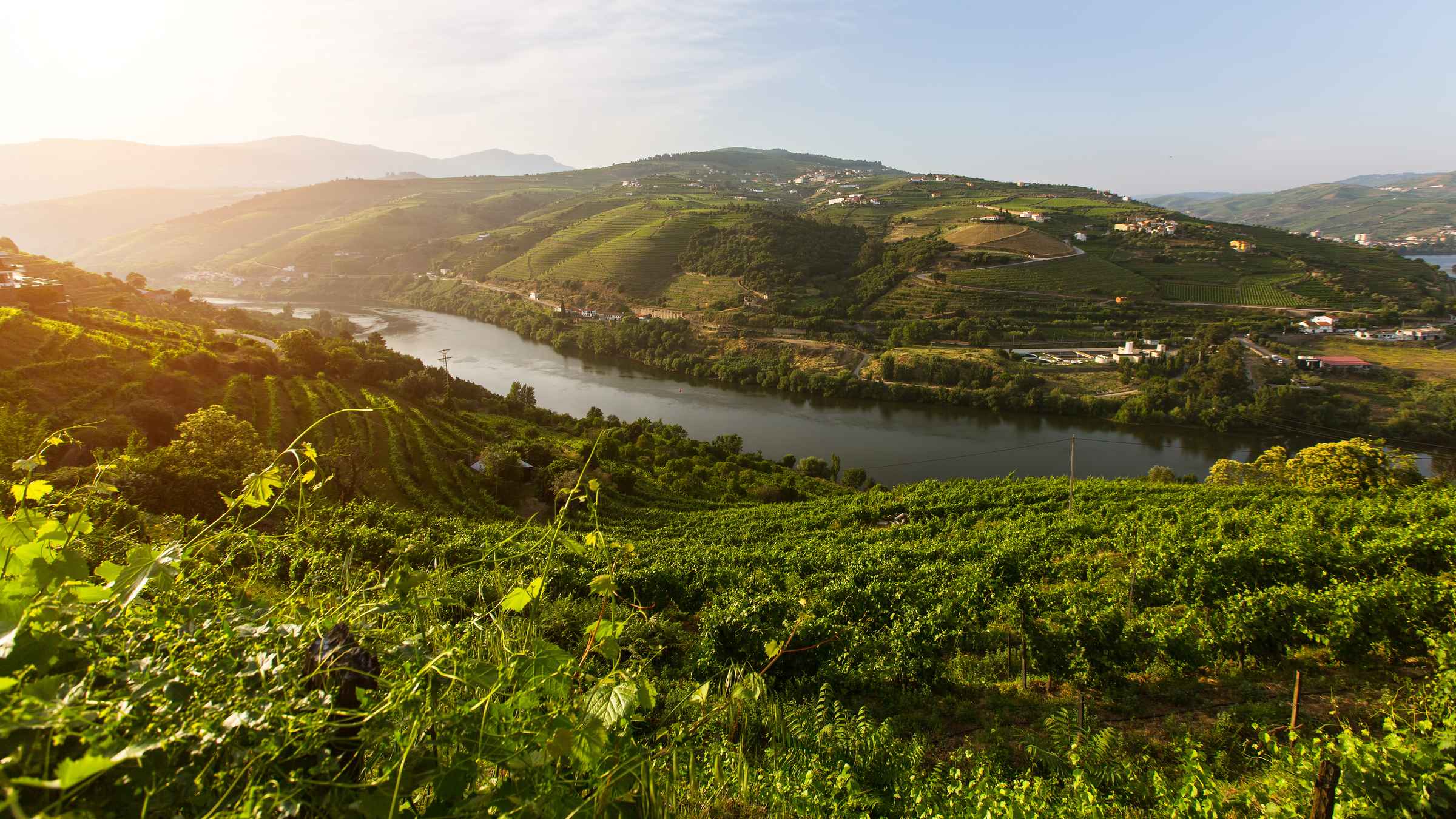 Real Estate Douro Valley Portugal at Louise Simpson blog