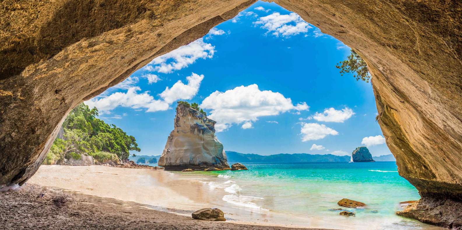 The BEST Coromandel Peninsula Tours and Things to Do in 2023 FREE