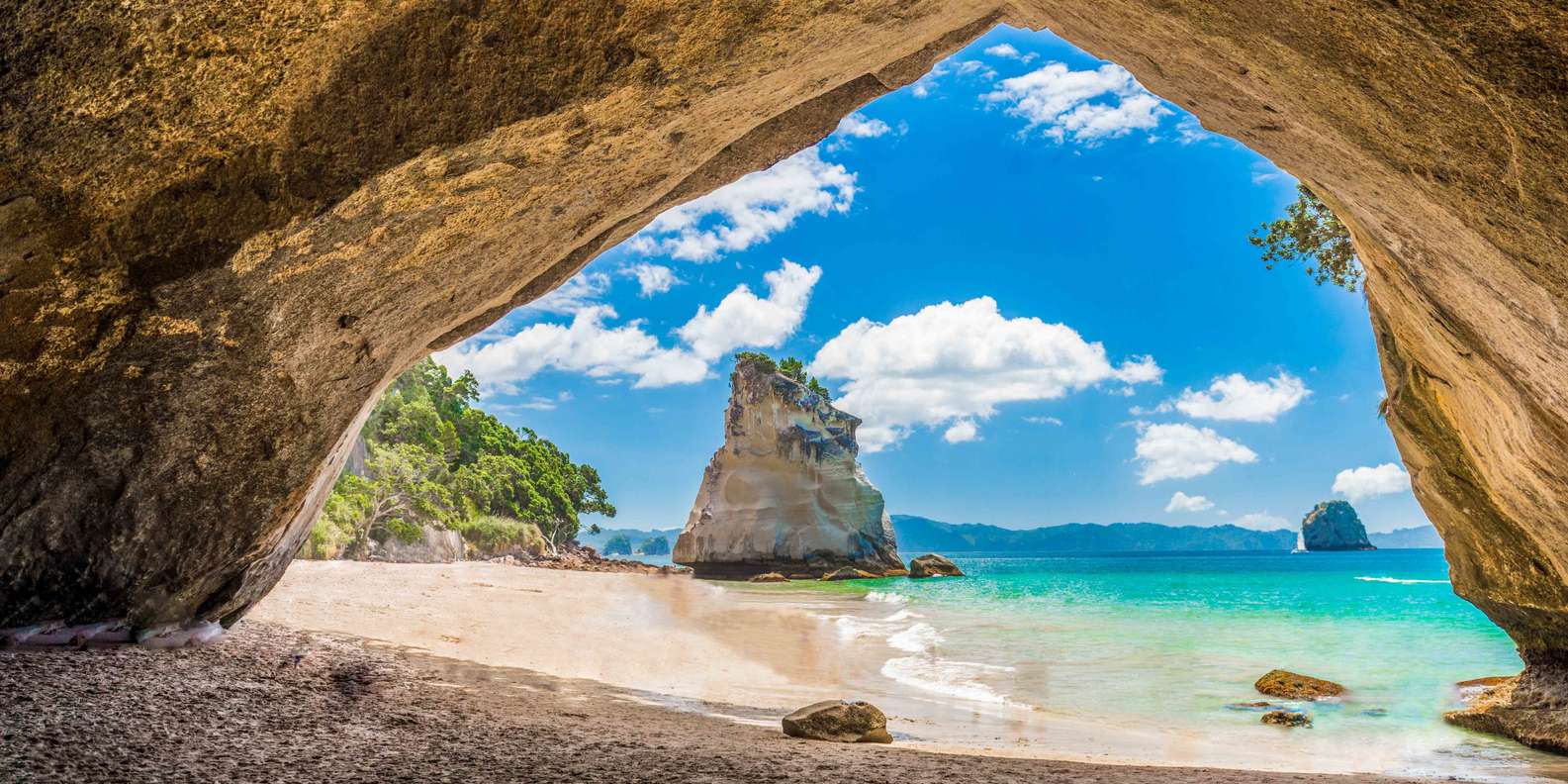 The BEST Coromandel Peninsula Tours and Things to Do in 2024 FREE