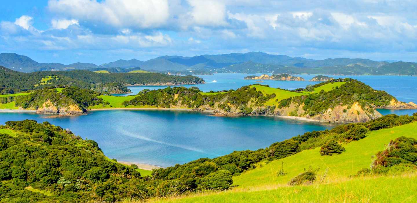 The BEST Paihia Cruises & boat tours 2024 FREE Cancellation