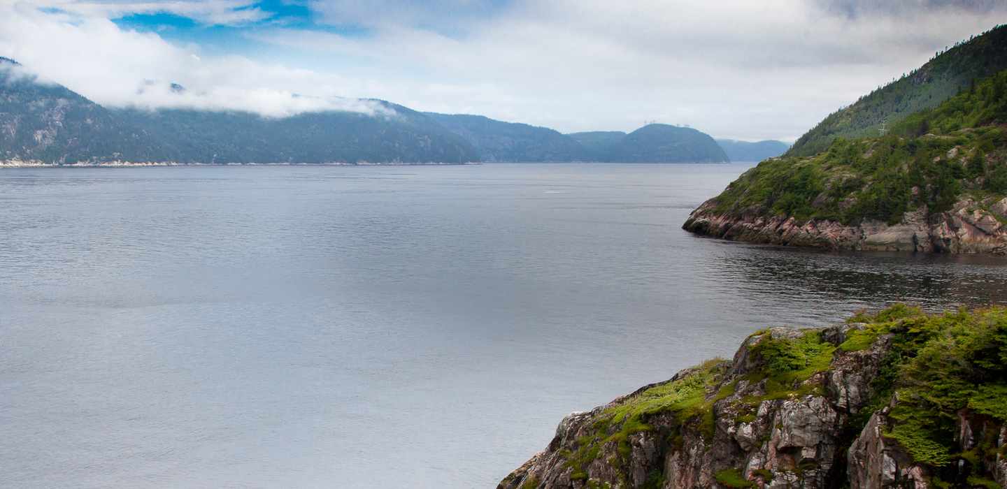 BaieSainteCatherine Safaris et vie sauvage le MEILLEUR de 2024