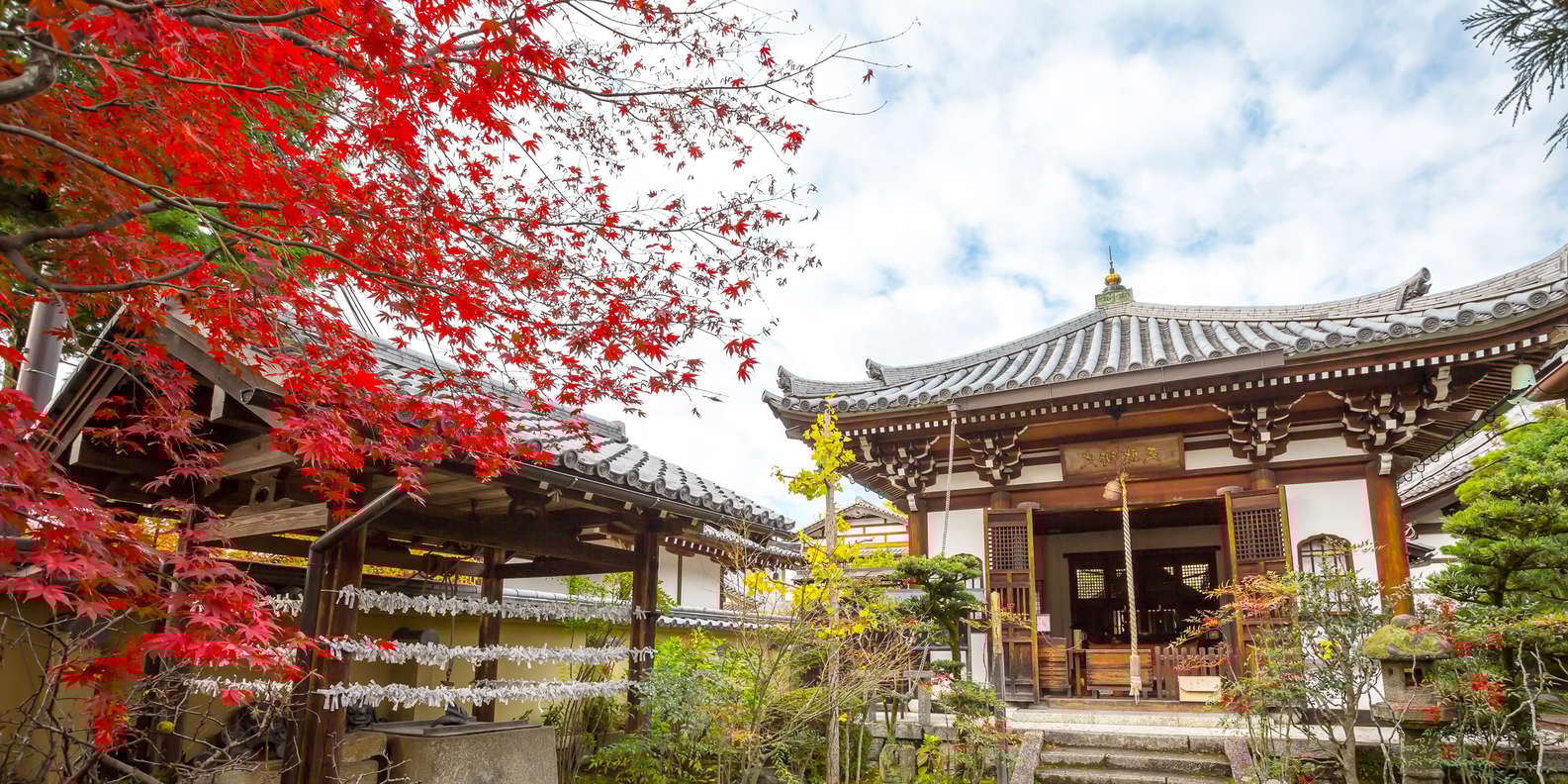 Tenryuji Temple Kyoto Bamboo Forest