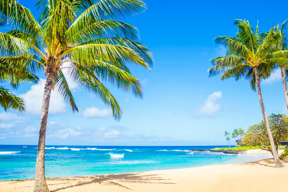 Poipu 2022 los 10 mejores tours y actividades (con fotos) Cosas que