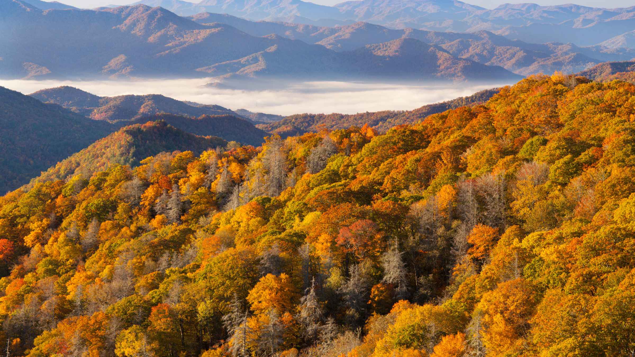Great Smoky Mountains National Park 2021 Top 10 tours en activiteiten