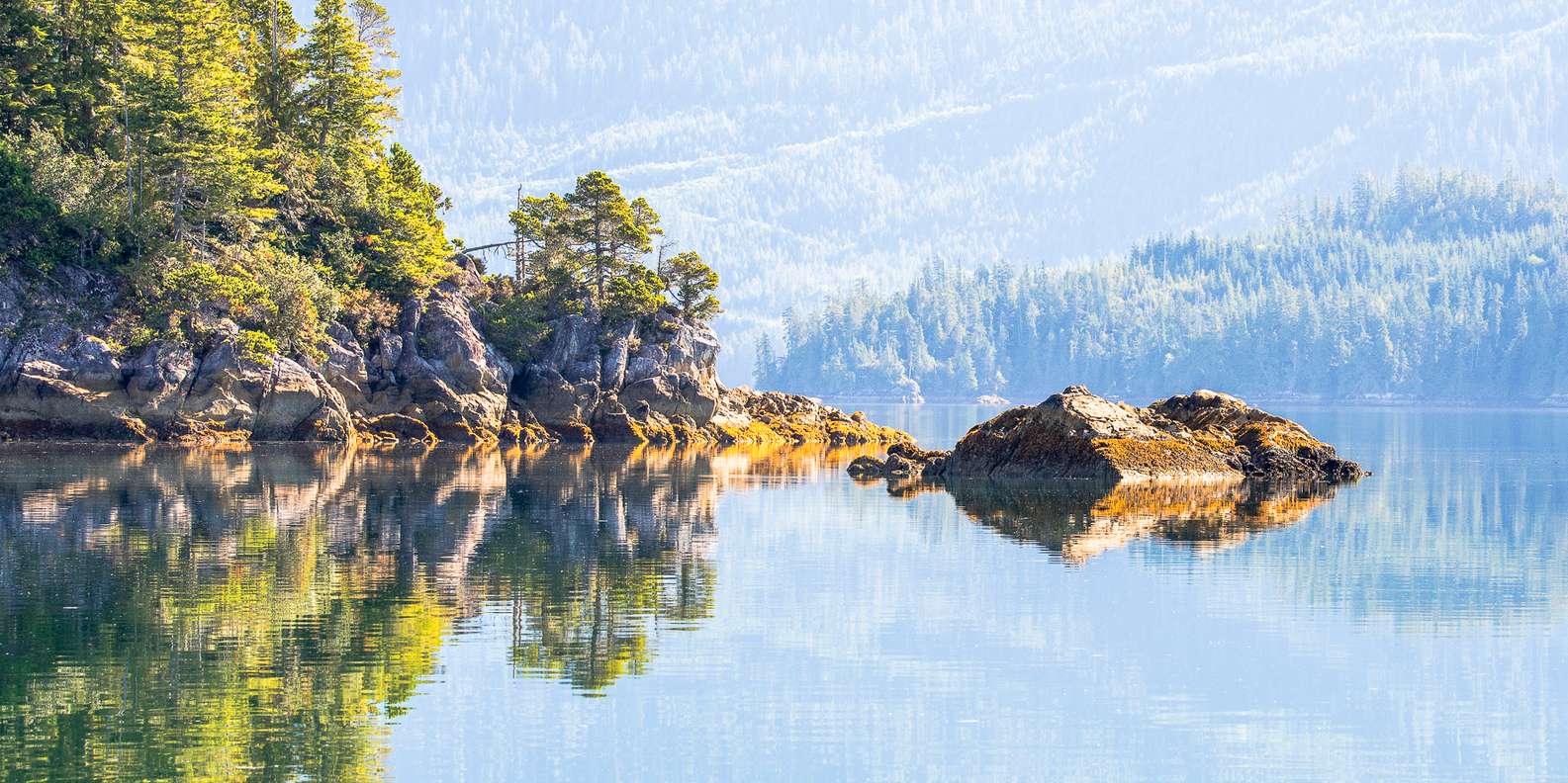 BEDSTE Vancouver Island Krydstogter og bådture 2024 GRATIS