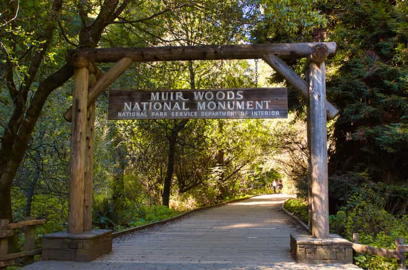San Francisco Private Muir Woods, Sausalito HalfDay Trip GetYourGuide