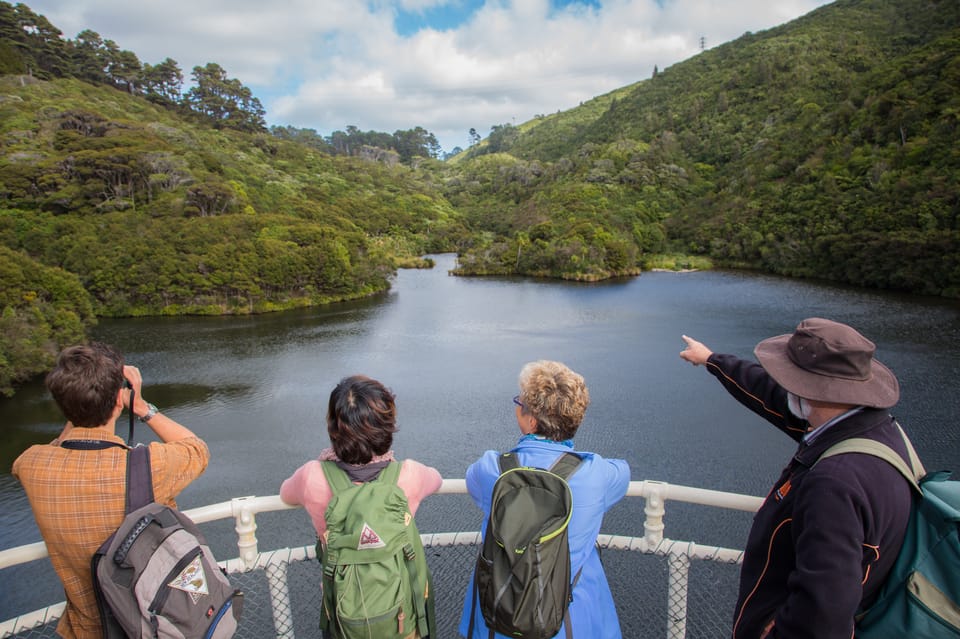 Zealandia by Day Tour GetYourGuide
