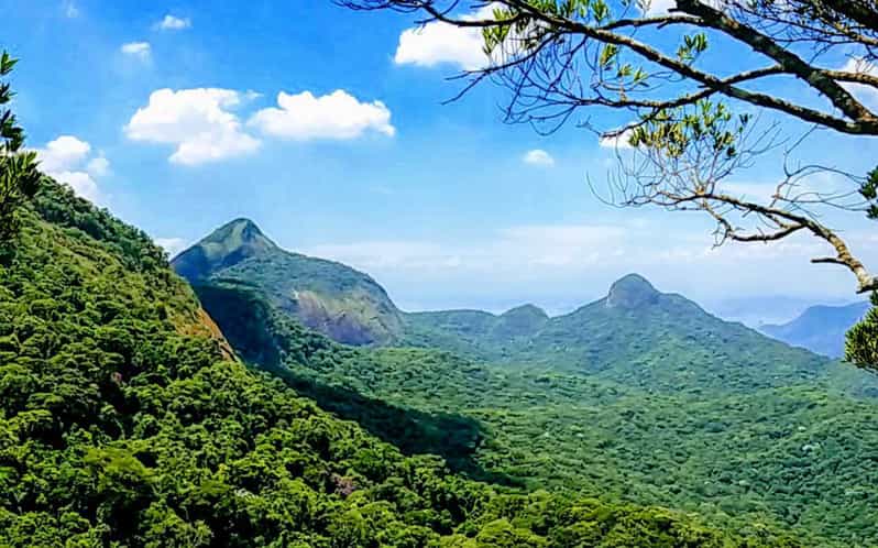 Floresta da Tijuca AbenteuerWanderung im Regenwald GetYourGuide