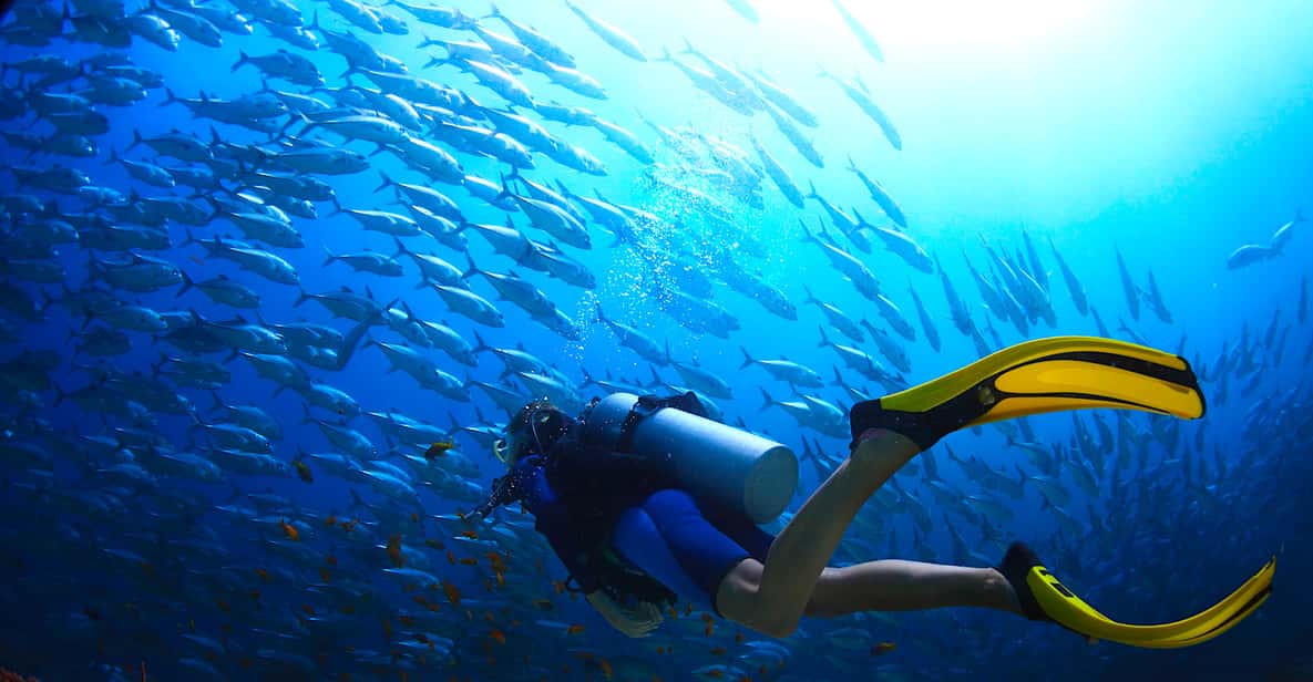 Ko Tao Try Scuba Diving 1Day Experience GetYourGuide