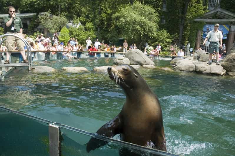 New York City Central Park Zoo and Top Sights Walking Tour GetYourGuide