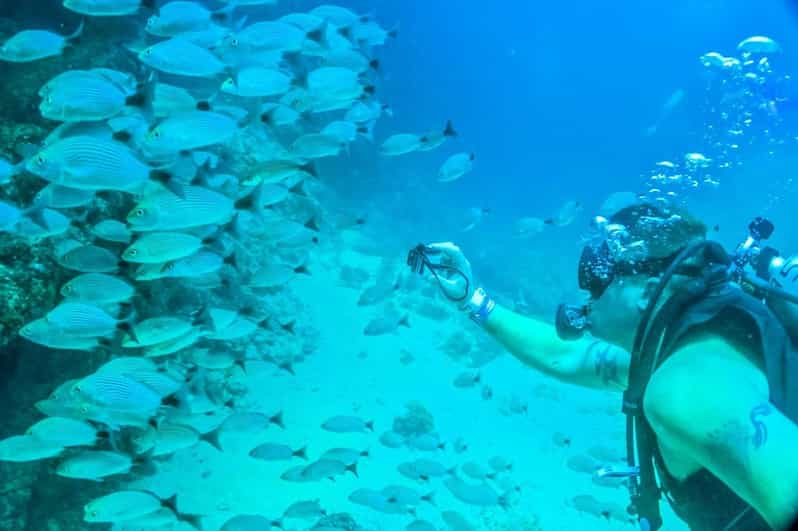 Puerto Vallarta Scuba Dive in Las Caletas GetYourGuide