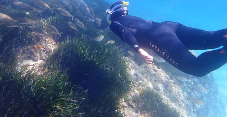Mallorca Schnorcheln im wunderschönen Naturschutzgebiet GetYourGuide