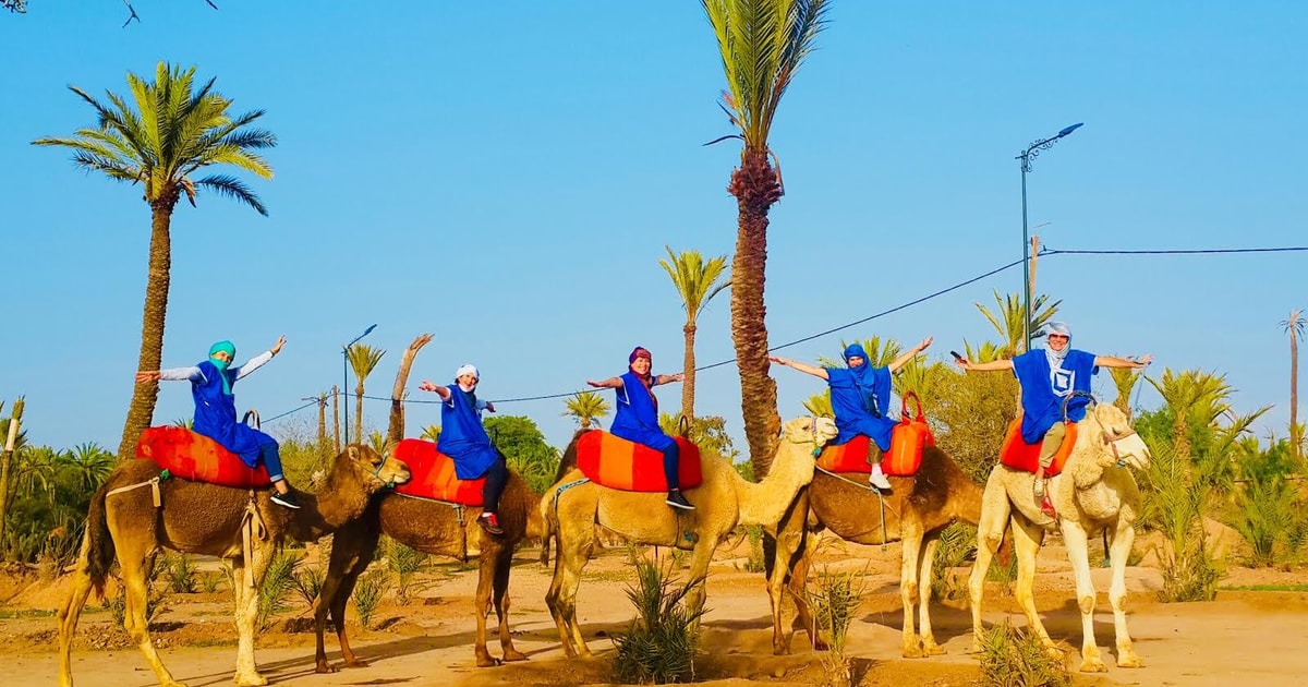 Marrakech balade en chameau Palmeraie au coucher du