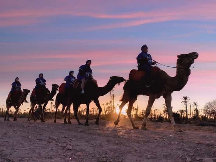 Palmeraie de Marrakech coucher de soleil à dos de